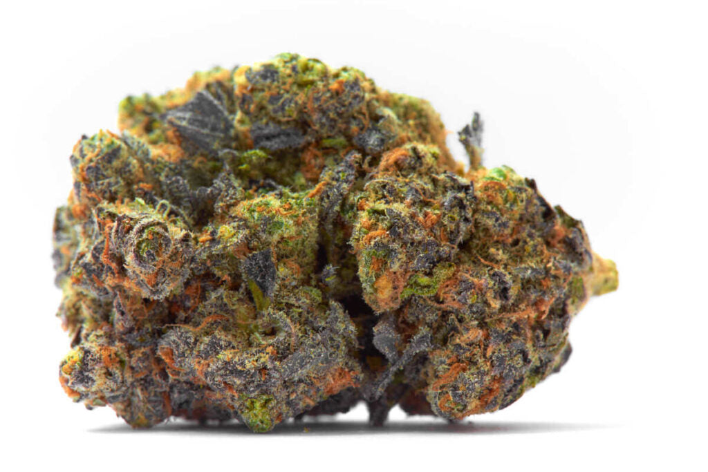 CALYPSO CANDY