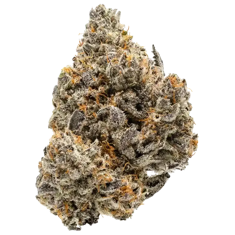 Strawberry cookies-sativa(bronze)