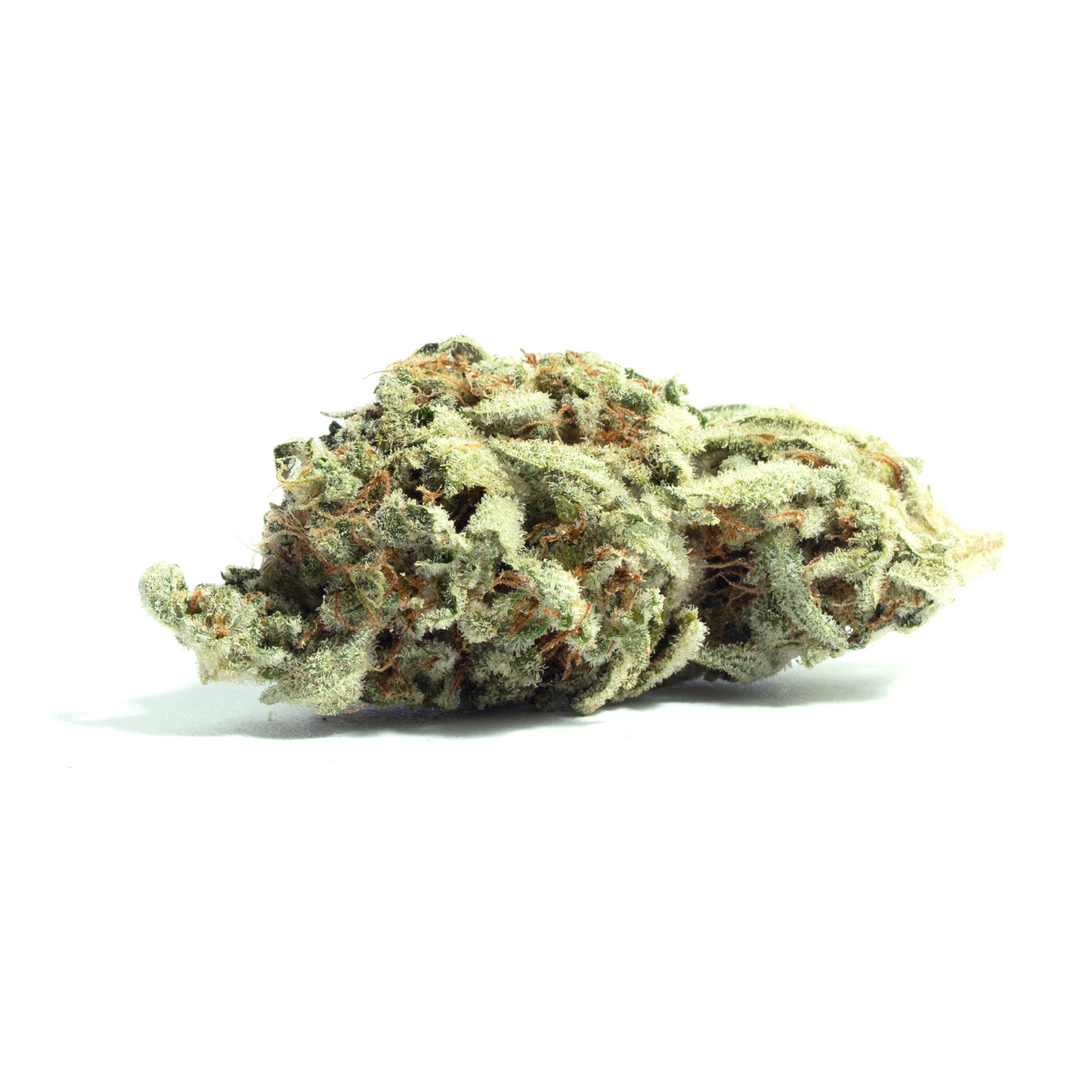 Black Mamba-Indica (Silver)