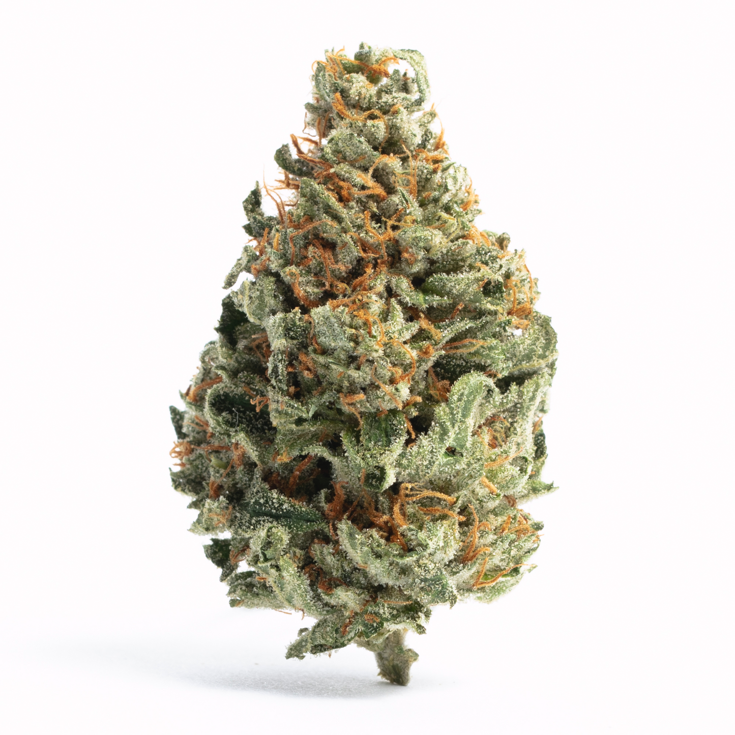 Bubba's Bitch - Indica (Gold)