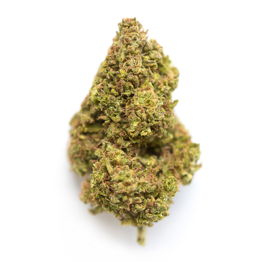 Dirty Hippy- Indica (Gold)