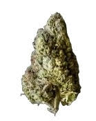 Wedding Wreck-Sativa(Bronze)
