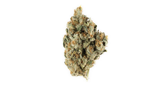 Dawg Breath-Indica (Bronze)